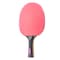 Stiga Pure Color Advance Paddle, Pink T159701-1 - alternate 1